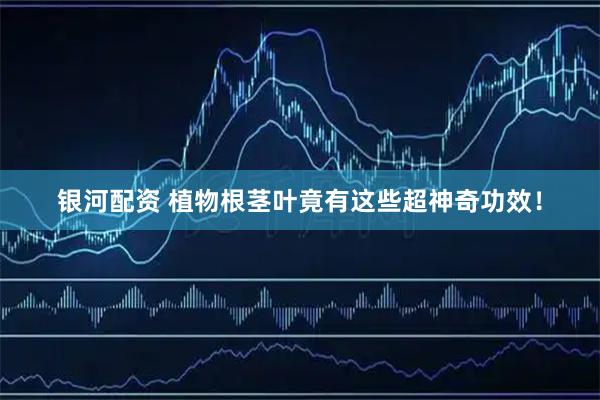 银河配资 植物根茎叶竟有这些超神奇功效！