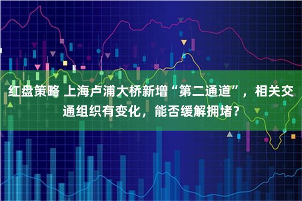 红盘策略 上海卢浦大桥新增“第二通道”，相关交通组织有变化，能否缓解拥堵？