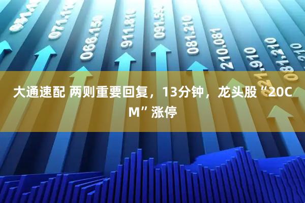 大通速配 两则重要回复，13分钟，龙头股“20CM”涨停