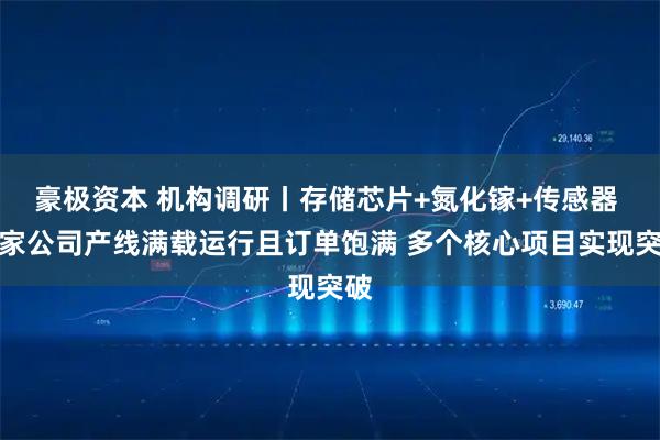 豪极资本 机构调研丨存储芯片+氮化镓+传感器 这家公司产线满载运行且订单饱满 多个核心项目实现突破