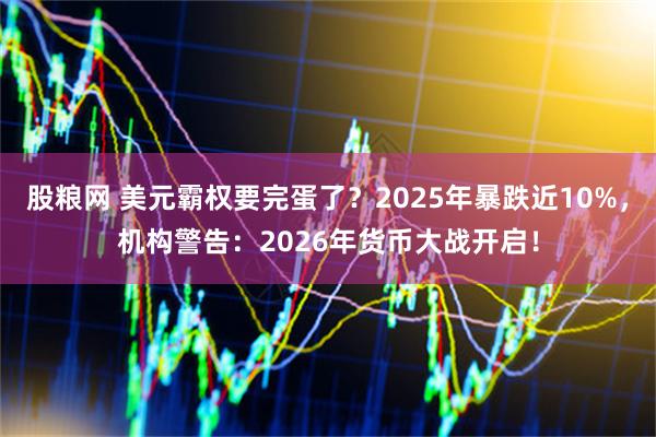 股粮网 美元霸权要完蛋了？2025年暴跌近10%，机构警告：2026年货币大战开启！