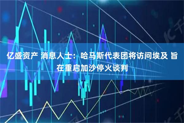 亿盛资产 消息人士:哈马斯代表团将访问埃及 旨在重启加沙停火谈判
